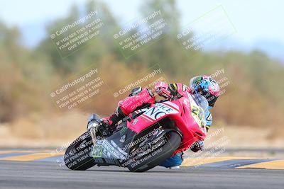 media/Feb-08-2025-CVMA (Sat) [[fcc6d2831a]]/Race 11-Amateur Supersport Open/